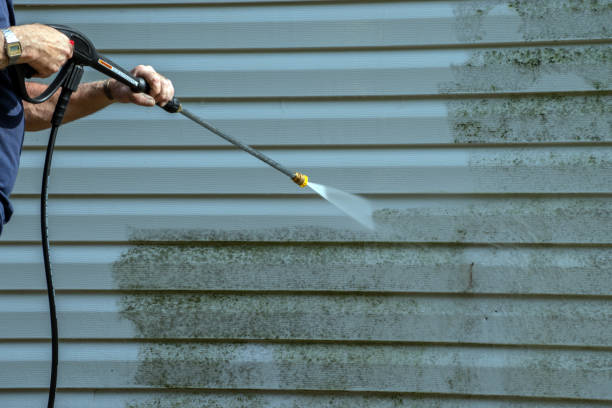 Best Patio and Deck Pressure Washing  in Landing, NJ